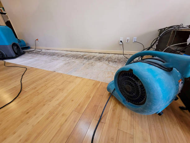 Professional Emergency Water Damage technician working in Niagara, WI